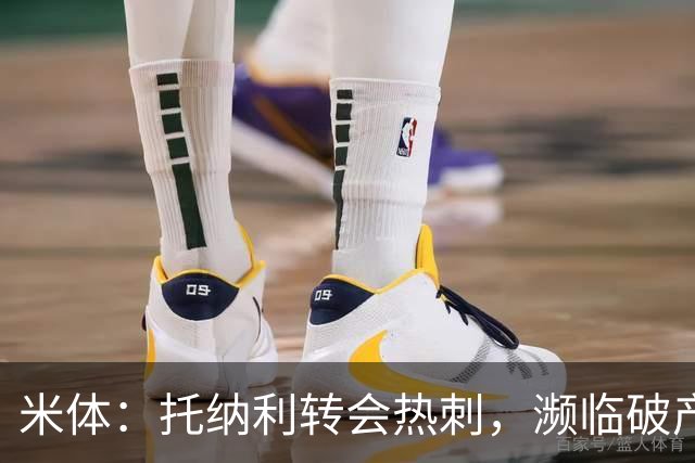 米体：托纳利转会热刺，濒临破产的前意甲队布雷西亚分到350万欧