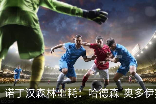 诺丁汉森林噩耗：哈德森-奥多伊赛季报销