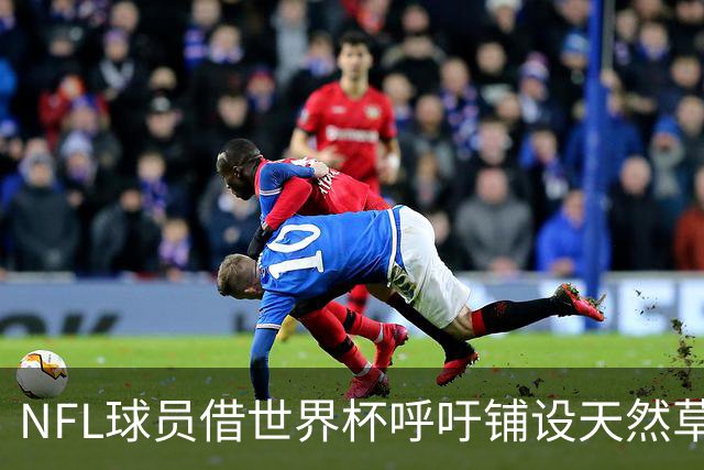 NFL球员借世界杯呼吁铺设天然草，专家：成本问题客观存在，可行性存疑